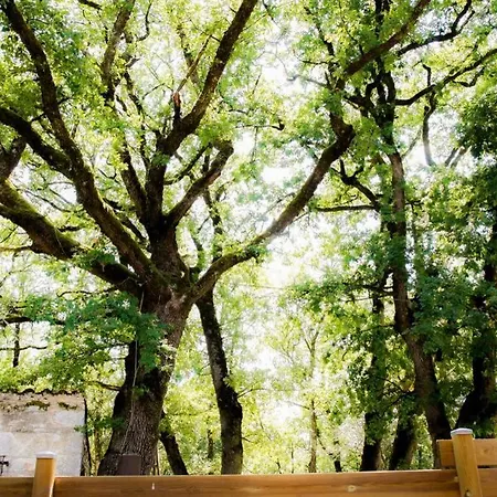 Holiday home La Taniere Des Druides Luzech