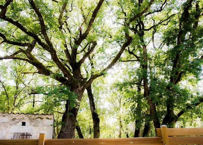 Tatil Evi La Taniere Des Druides Luzech